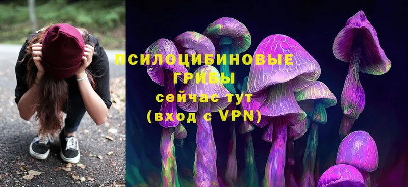 KRAKEN tor  Вологда  Галлюциногенные грибы Magic Shrooms 